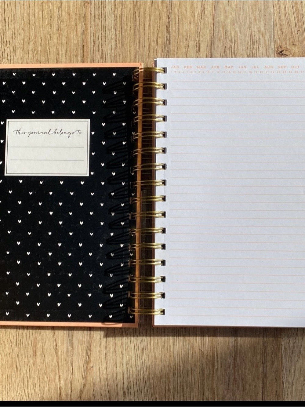 Journal - Picture 2 of 4
